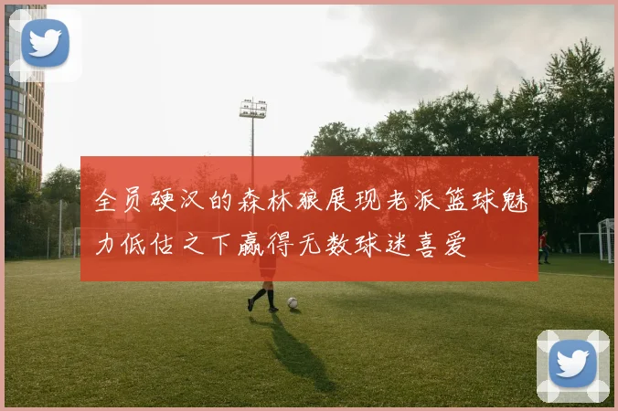 全员硬汉的森林狼展现老派篮球魅力低估之下赢得无数球迷喜爱